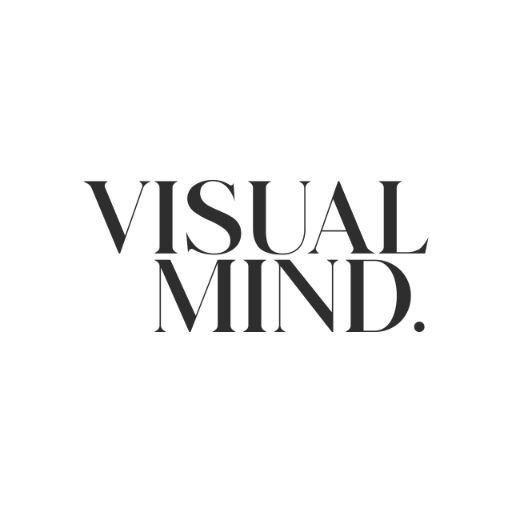Logótipo indicado de VisualMind