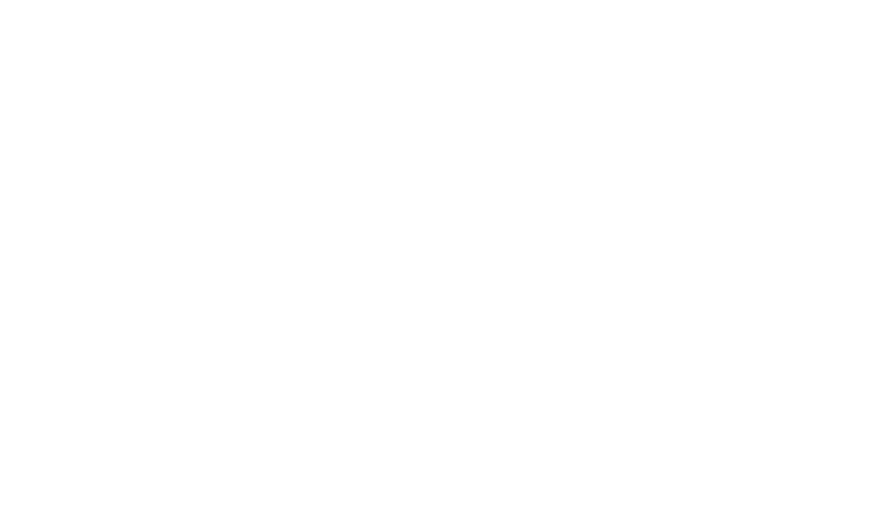 Logótipo indicado de Digital Next Level